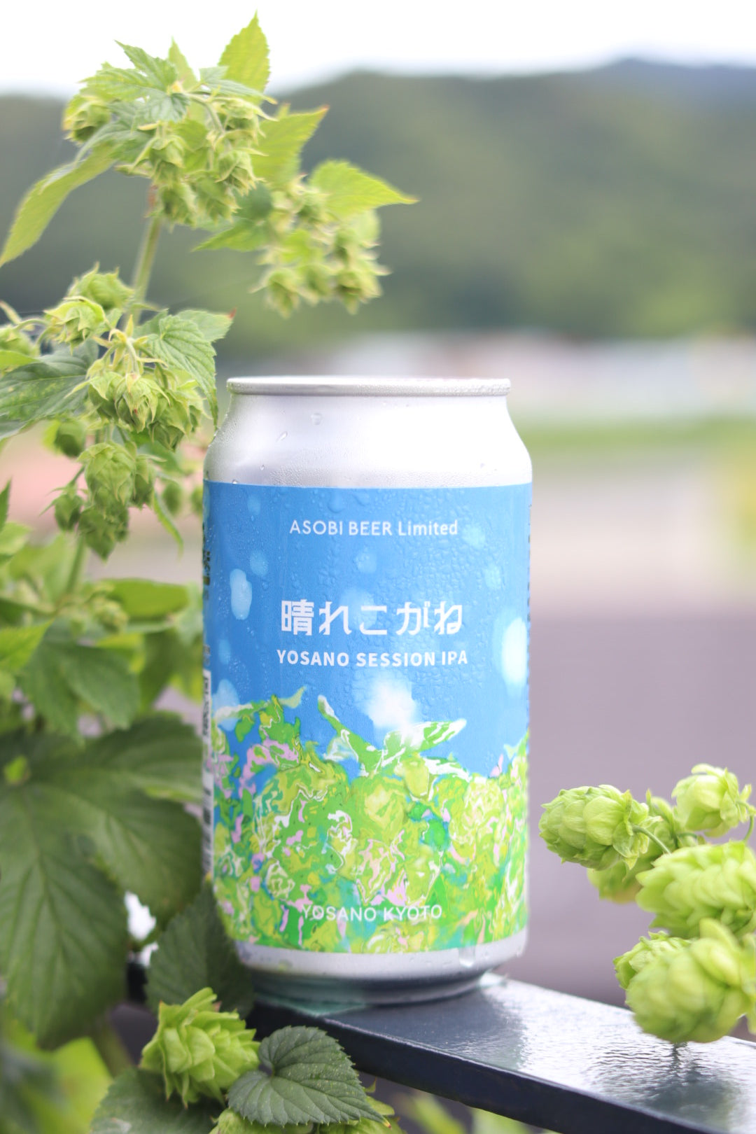 ASOBI BEER 12本入りアソートセット(みだれ髪/晴れこがね)